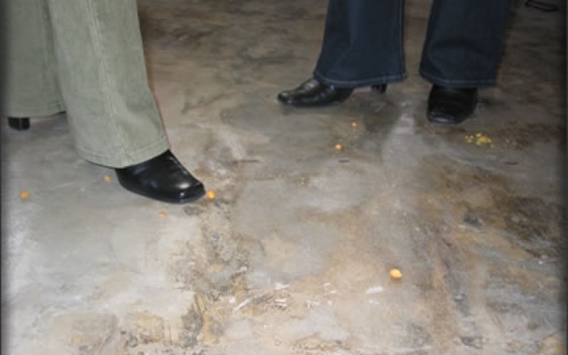 Your Guide to Polished Concrete