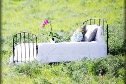 Organic Silk Filled Bedding: Do You Really Need It? This Will Help You Decide!
