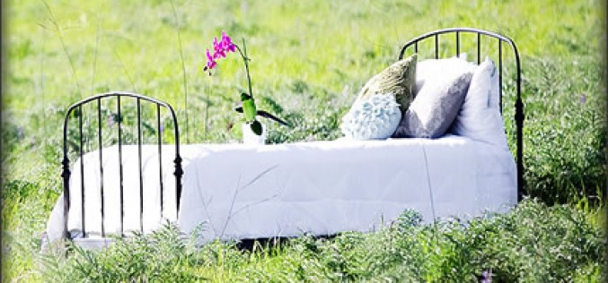 Organic Silk Filled Bedding: Do You Really Need It? This Will Help You Decide!