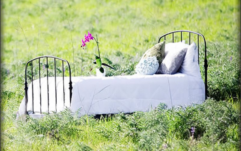 Organic Silk Filled Bedding: Do You Really Need It? This Will Help You Decide!