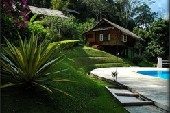 How to Transform Your Backyard into the Perfect Entertaining Space