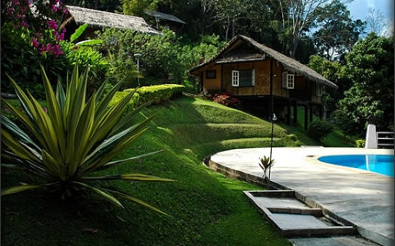 How to Transform Your Backyard into the Perfect Entertaining Space