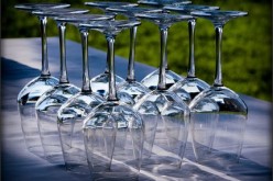 The Popularity of Backyard Gatherings