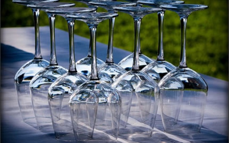 The Popularity of Backyard Gatherings