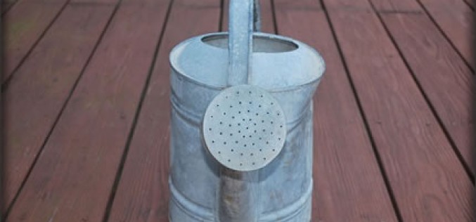 Why Regular Deck Repair Helps You Save Dollars