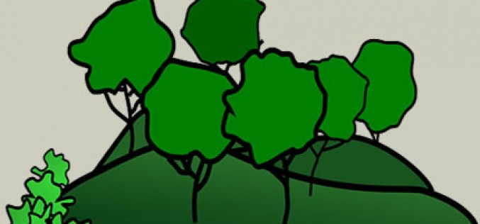 Garden Landscaping Ideas on a Budget