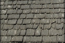 5 Essential Considerations for Your Roof Renovation