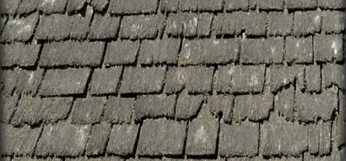 5 Essential Considerations for Your Roof Renovation