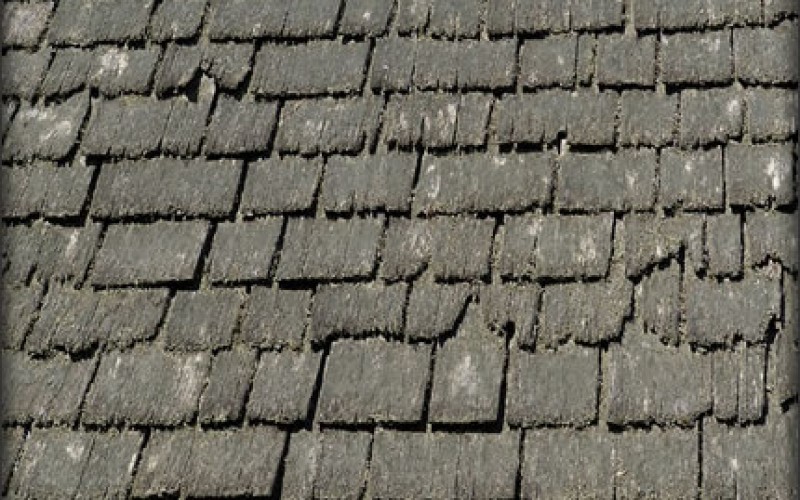 5 Essential Considerations for Your Roof Renovation
