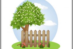 7 Spring Cleaning Safety Tips