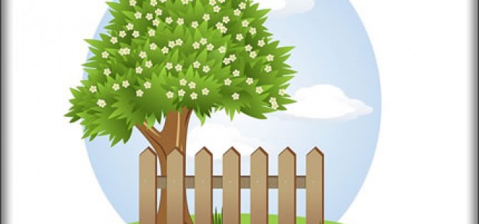 7 Spring Cleaning Safety Tips
