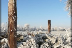 Winter Composting: Yes, That’s Right