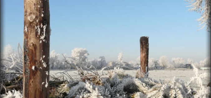 Winter Composting: Yes, That’s Right