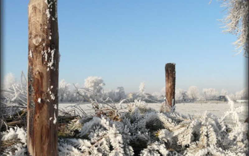 Winter Composting: Yes, That’s Right