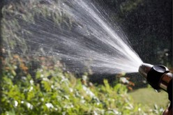 How to Protect Your Outdoor Plants and Furniture From Hot Summer Weather