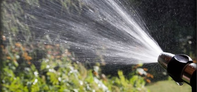 How to Protect Your Outdoor Plants and Furniture From Hot Summer Weather