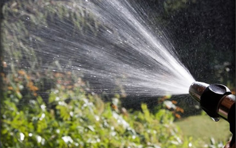How to Protect Your Outdoor Plants and Furniture From Hot Summer Weather