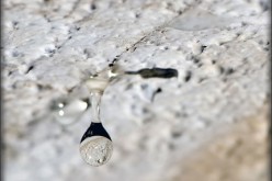 First Steps to Take In Case of a Flood or Leak Inside Your Home