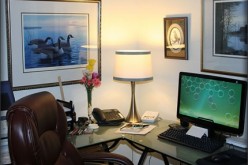 Mixing Business with Pleasure: How to Create a Home Office that is Productivity Centra