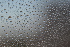 How Does Moisture Control in Your Home Save You Money?