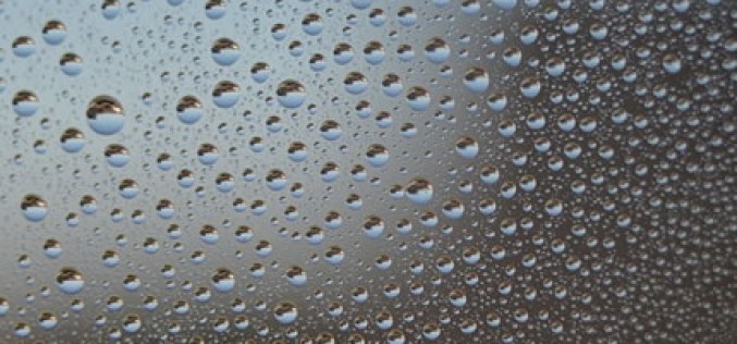 How Does Moisture Control in Your Home Save You Money?