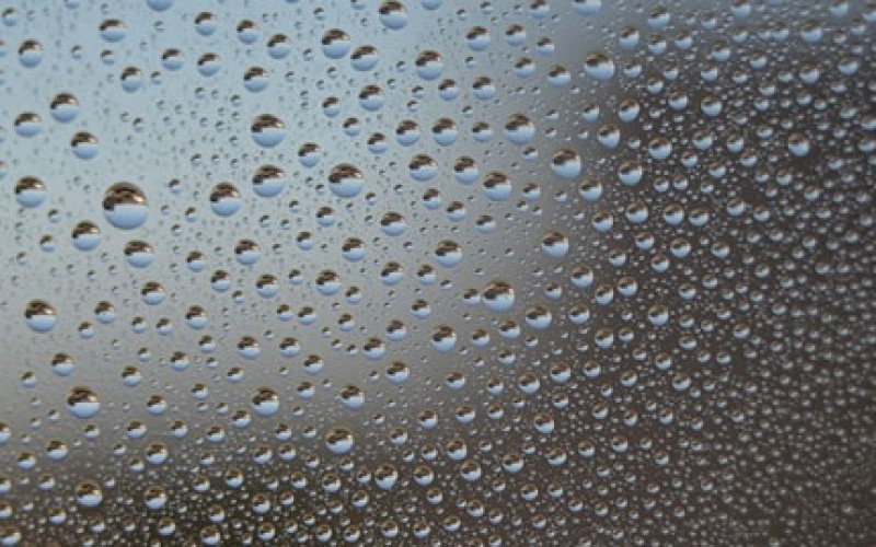 How Does Moisture Control in Your Home Save You Money?