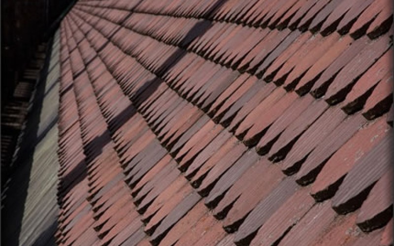 Common Types of Roof Damage and Their Solutions