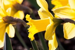 5 Things You Need to Prepare in Your Home as the Weather Warms Up