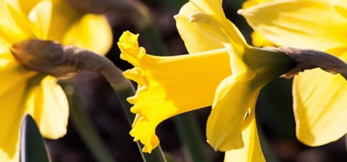 5 Things You Need to Prepare in Your Home as the Weather Warms Up