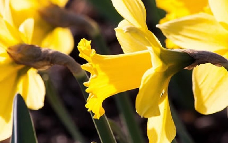 5 Things You Need to Prepare in Your Home as the Weather Warms Up