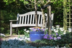 Four Things You Can Do To Liven Up Your Front Yard