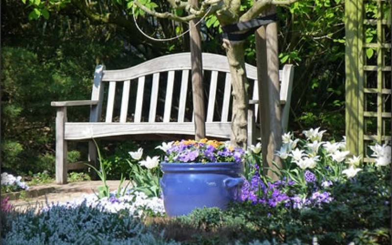 Four Things You Can Do To Liven Up Your Front Yard