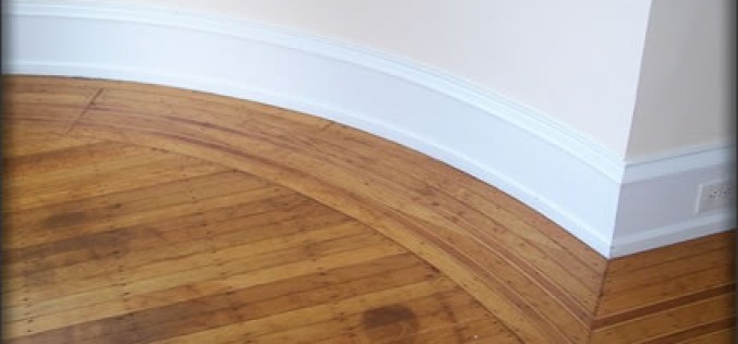 Home Renovation DIY: Picking the Perfect Flooring When You Have Pets