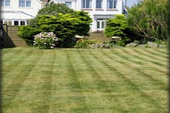 Best Lawn In Town: 6 Get Ready Tips For The Summer Months
