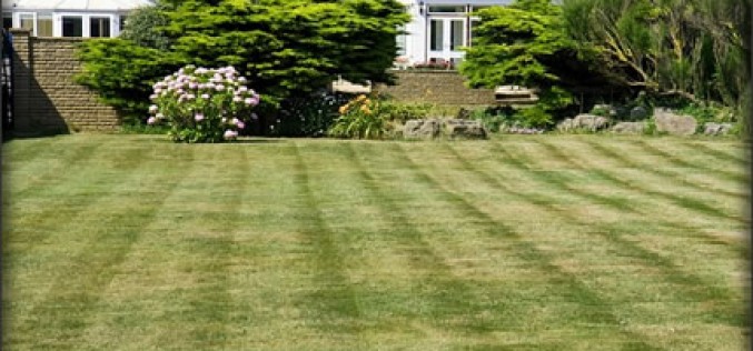 Best Lawn In Town: 6 Get Ready Tips For The Summer Months
