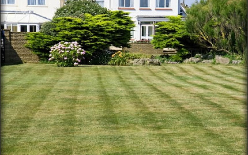 Best Lawn In Town: 6 Get Ready Tips For The Summer Months