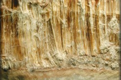 Five Facts About Asbestos That You Should Know
