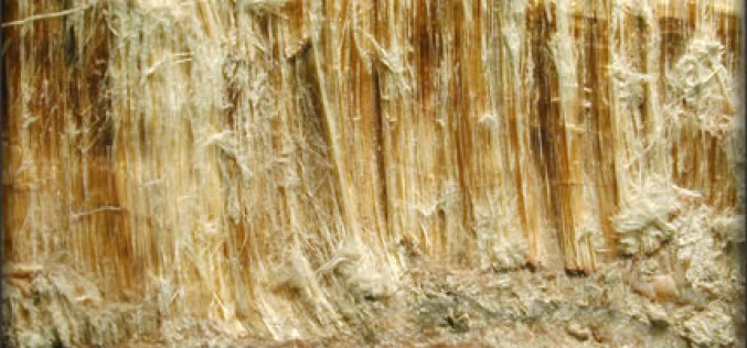 Five Facts About Asbestos That You Should Know