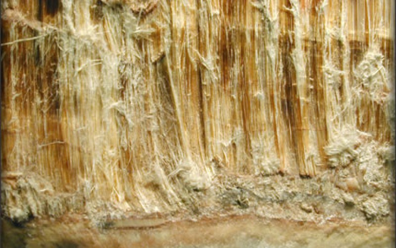 Five Facts About Asbestos That You Should Know