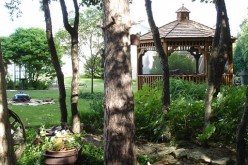 Fun Outdoor Activities To Install In Your Backyard