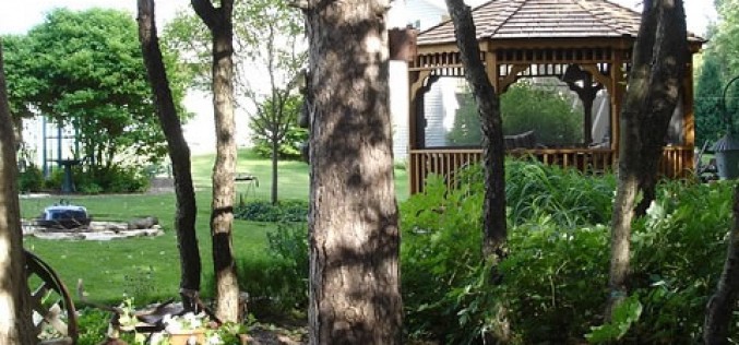 Fun Outdoor Activities To Install In Your Backyard