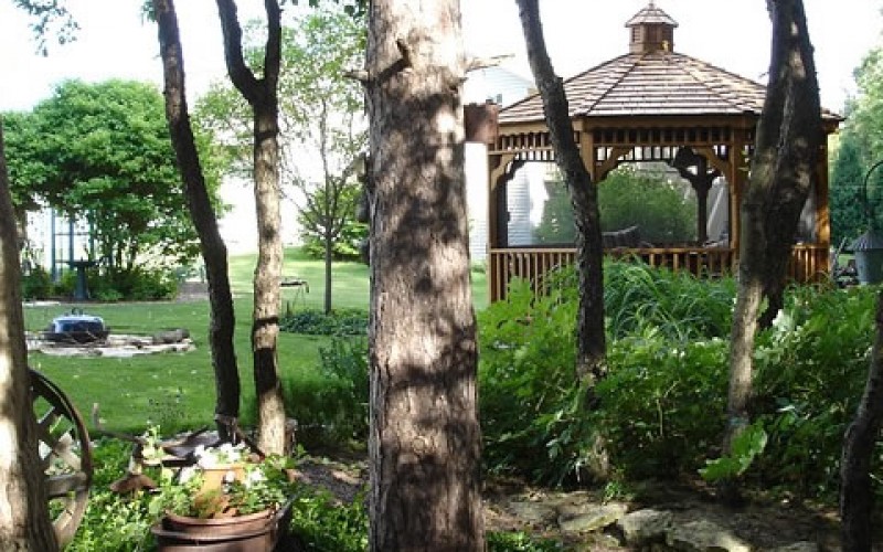 Fun Outdoor Activities To Install In Your Backyard