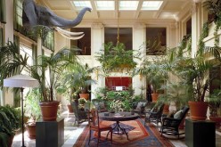 5 Simple Ways to Make Your Home Look More Luxurious