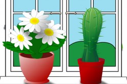Redecorating Right: Tips for Making the House Feel Fresh