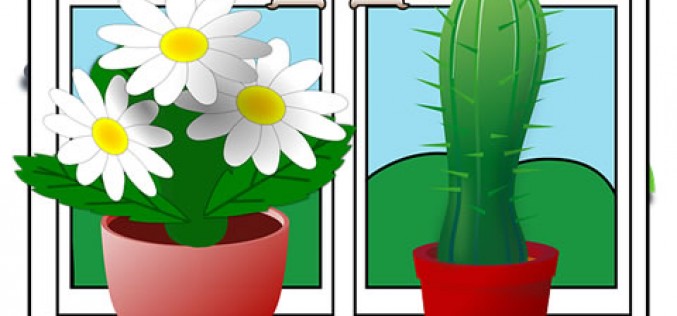 Redecorating Right: Tips for Making the House Feel Fresh