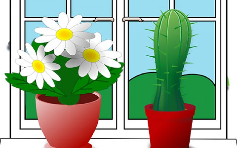 Redecorating Right: Tips for Making the House Feel Fresh