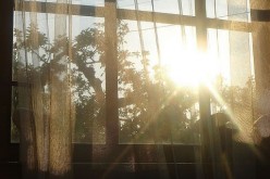 Summer Time Joy: 5 Tips for Keeping the Cold in and the Heat Out