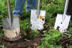 Essential Tools for Easy Gardening