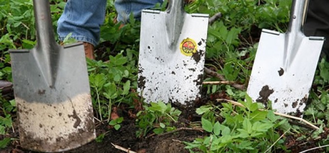Essential Tools for Easy Gardening
