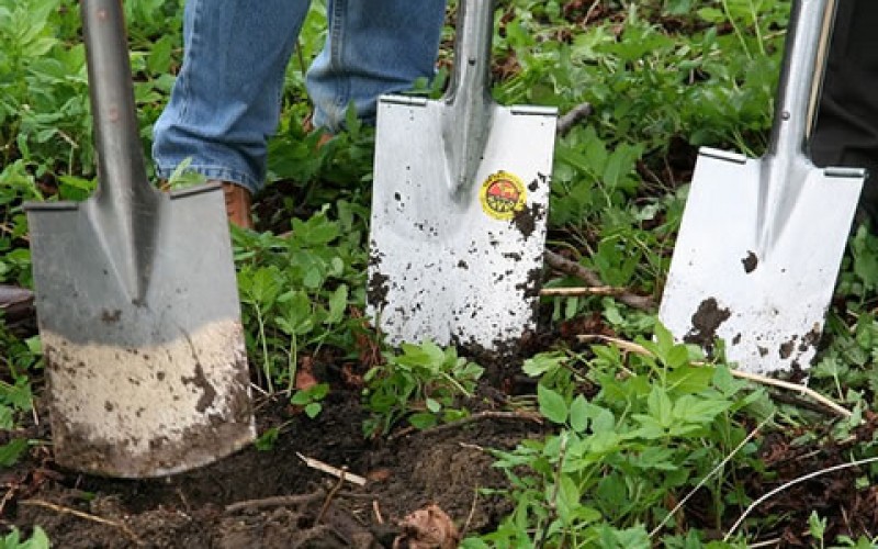 Essential Tools for Easy Gardening